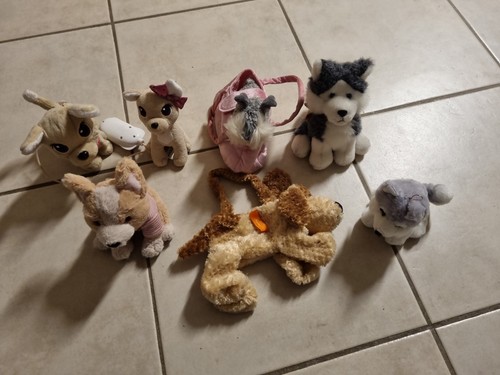 Konvolut stofftiere hunde - konvolut, stofftiere,